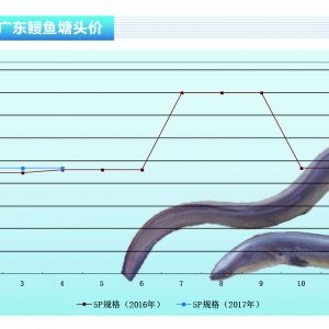 ���~������~�r(ji��)�S��(w��n) �n��(gu��)�a(ch��n)�~�r(ji��)���µ�������ˮ�a(ch��n)ǰ�ء�2017��5�¿��Ј�(ch��ng)څ��(sh��)