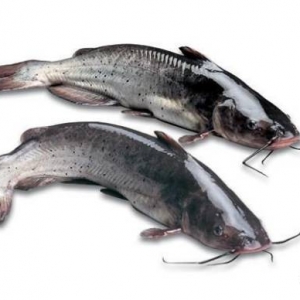 �@�l�����~�ܻ𣬵�����s�����~�¼����ǣ��Bֳ��ԓ������_�����ס���