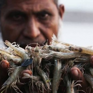 ��ʲôȫ���r�a�����m(x��)�½����ǲ�����ԭ��߀�ǷN�硢���׃ů����ϵ�ԭ��