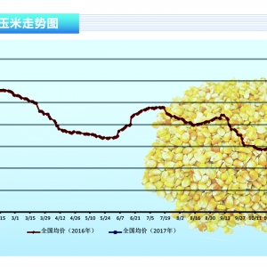���ף����u������ �r�񏊄��ϝq������ˮ�a(ch��n)ǰ�ء�2017��6�¿��Ј�څ��