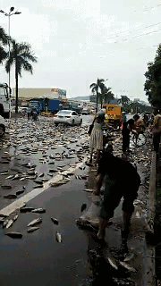 �������V���������r���l(f��)͵�������꾿��Ҫ��ˮ�a(ch��n)�B(y��ng)ֳ����ʲô���أ�