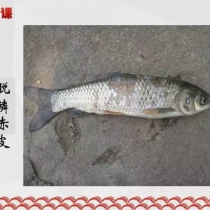  �n�Pӛ | ���g���~���m(x��)��������Ҫԭ��Ԕ�⼰�ί�����