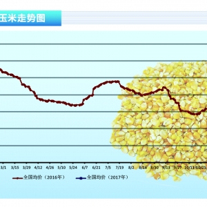 ���ף����߼Z�����ȥ �Ј��M�������ڡ�����ˮ�a(ch��n)ǰ�ء�2017��7�¿��Ј�څ��