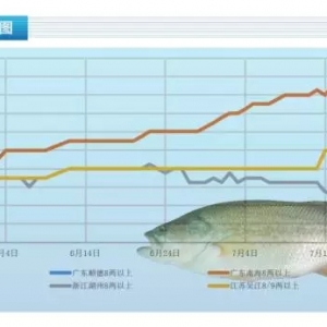 2017��7��19�ռ����|���^�r�񡪡��ߜ��B�����ҳ��~�����K�ǽ��ϝq2Ԫ/�