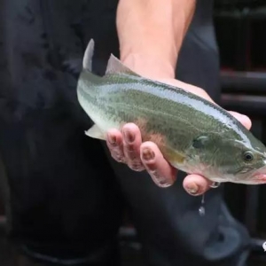 2017��7��24�ռ����|���^�r��