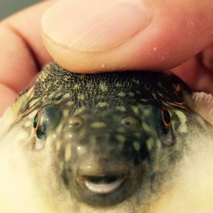 �Ї��������Зl�������_���Ј�����������