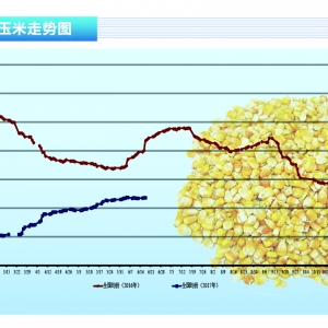 ���ף��A�����󏊄� ��������ƫ���\�С�����ˮ�a(ch��n)ǰ�ء�2017��8�¿��Ј�څ��