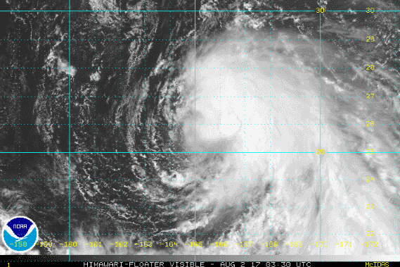 11̖(h��o)�_(t��i)�L(f��ng)������ɣ�5̖(h��o)�_(t��i)�L(f��ng)�W¹߀�����Ҍ��ɞ�����ׂ�(g��)����(qi��ng)�_(t��i)�L(f��ng)