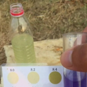 2017��8��2�ռ����|�~�r���������Ĵ��W����������|�ϝq0.5Ԫ/�