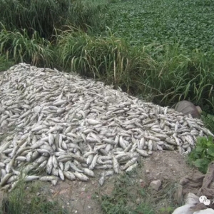 �߉�������ǽ�4�(zh��n)���f���~��ȱ�������pʧ��(sh��)ǧ�f���l���I�Σ�