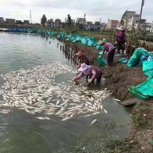 �麣���օ^(q��)����δͨ늣����~(y��)�ѳ��^(gu��)2000�f(w��n)��_(t��i)�L(f��ng)������(z��i)���(b��o)����