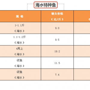 �|�~���~���У��r���µ�����2017��9��1���|�~�r������