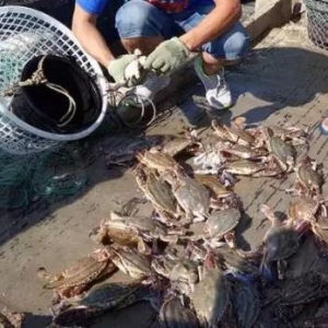 ����з�������࣬�r���½������aƷ���u�S�������~��������