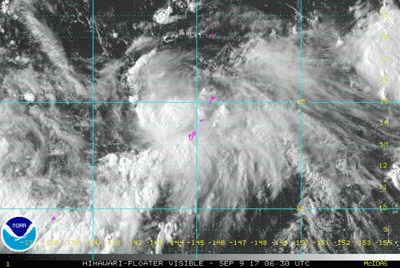 ��̩������ɳ����������ֲ������_�L(f��ng)�������迹�_�L(f��ng)�͏�����