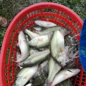 21017��9��18�ռ����|���^��r