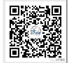 �_���֫I���С���ˮ�a�����x�����E�[ | �ޕr���M˽���n