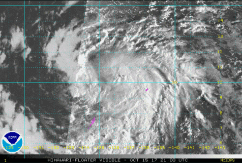 17�������_�L���m������Ҫ������Ԏ���ֲ���