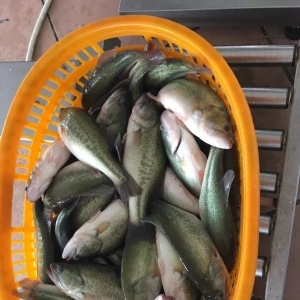 �V�|���~�q1.5Ԫ/����~�������|�q��ϲ�ˣ�