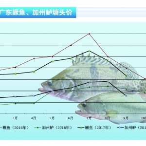 �����|����ǰ���г��~  �r����m�µ�����ˮ�aǰ�ء�2017��11�¿��Ј�څ��