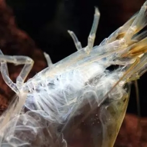 ���r��ʲôҪ͑�������F�����^�r���L������ô�k��