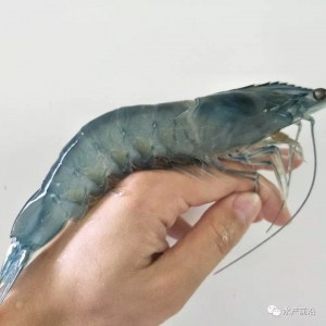 �N�r�^(gu��)����ه�M(j��n)�ڌ�(d��o)��ȫ�������B(y��ng)�r��(gu��)��׃����