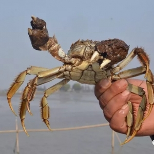 ������θ������N�̺��Bֳ����θ����