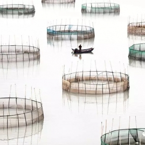 �����ˣ�90%��ˮ�a(ch��n)�˲�֪���@���ط�