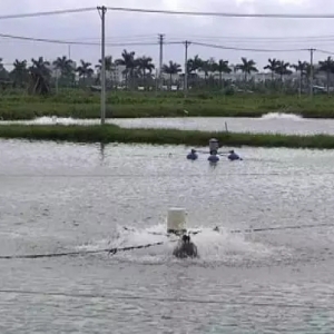 ����늃r�p�p�B(y��ng)ֳ����������ô����