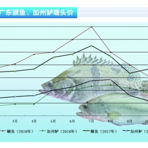 ���|����������~�r���m�»�����ˮ�aǰ�ء�2017��12�¿��Ј�څ��