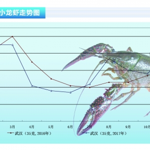 С���r���r�񱩝q���¸ߡ���ˮ�aǰ�ء�2018��1�¿��Ј�څ��