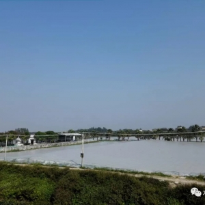 �������������u�����A�ϰ׌��r���_���~�����K�K�������������