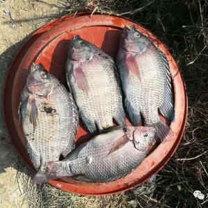 �����´����~�r������ˮù�����񱩰l