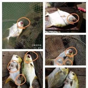 �~�rз���������ˣ�߀���_�L...