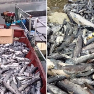 ˮ�챬�l���~ȫ���⣬�Bֳ��Ѫ���o�w��