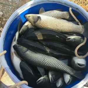 �����������࣬���ز��~�r�����в���