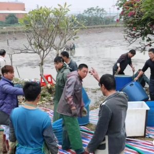 ����󸣴��Z���V�|���V���Z�~���q1Ԫ/�������՝q2Ԫ/����