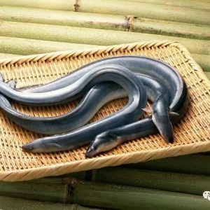 ���ڃr���m(x��)5�B�q���@�N�~һС���Ҫ1�f��Ԫ