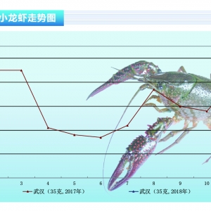 С���r���������٣��r���ل��¸ߡ���ˮ�aǰ�ء�2018��2�¿��Ј�څ��
