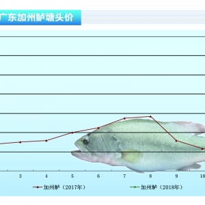 �����|���ϝq���� �ٴλ��䡪��ˮ�aǰ�ء�2018��2�¿��Ј�څ��