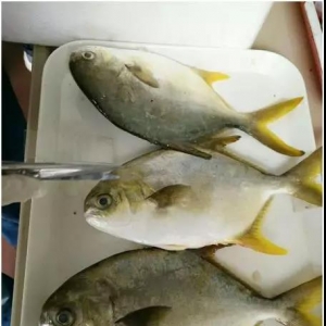 �V�|���������V�����K�~�r���q��4Ԫ/�