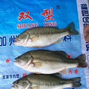 �A�|�����|�������1Ԫ/������߄ݕ���Σ�