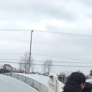 ��ͨ��|�Ĵ����ȫ���������Bֳ����ˉ����