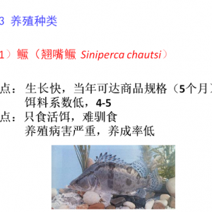 �Ϻ������W�w����:�Z�~�N�|(zh��)�YԴ�cƷ�N�����śr