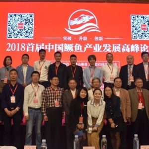 �����@�l���F��ɫ��ˮ�~����300���R�۷�ɽ