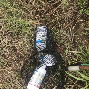 �ڽ��O�ڷǷ����ƣ��򌢳Г�����؟��