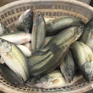 �����|�a������10%�������~�r�ܷ�ͻ��20Ԫ���P��