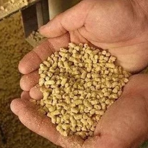 ������2018���Ҳ����u�o�������ϣ�