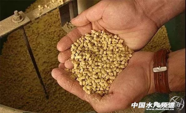 ������2018���Ҳ����u�o�������ϣ���10�f+��������D���ˣ�)