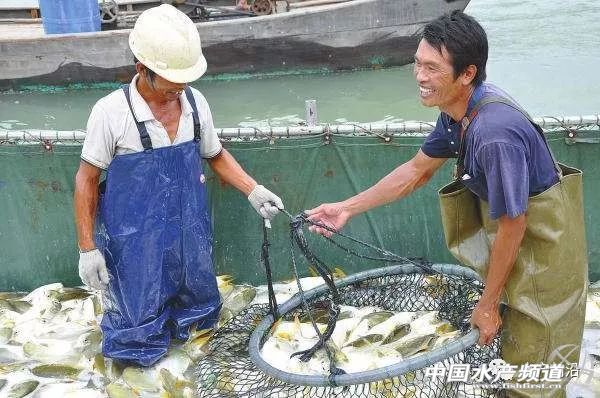 ������2018���Ҳ����u�o�������ϣ���10�f+��������D���ˣ�)