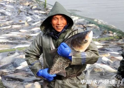 ������2018���Ҳ����u�o�������ϣ���10�f+��������D���ˣ�)